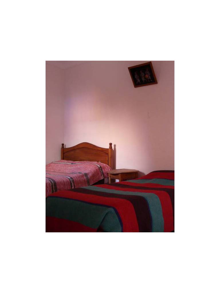 Riad Taddert 