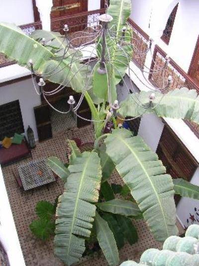 Riad Mehdia  Марокко, Марракеш