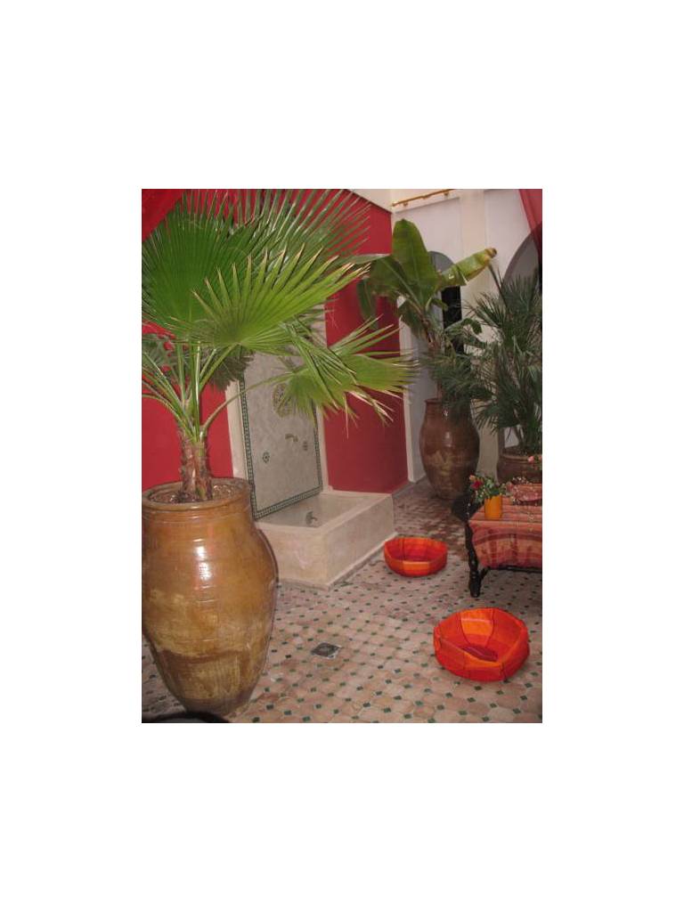 Riad Nouzha 