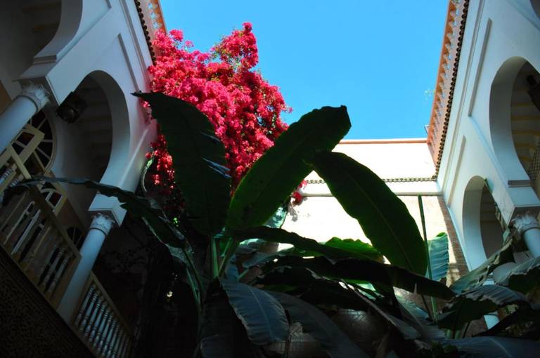 Riad Habib