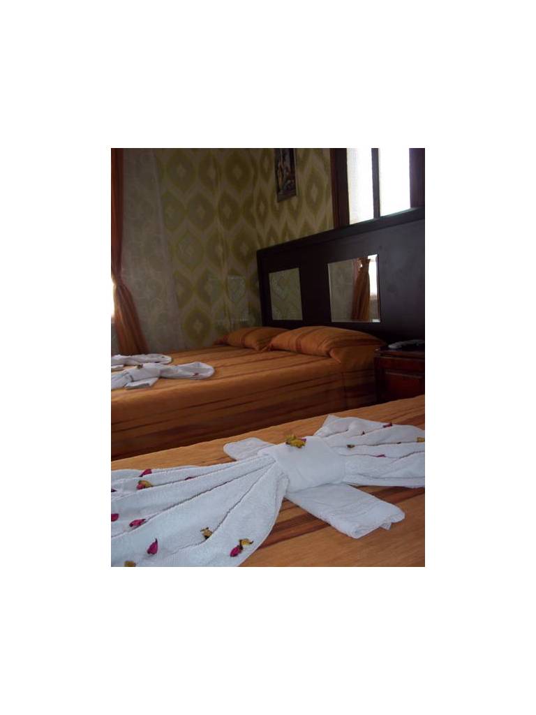 Alis Hotel 