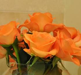 Туры в Compass House Boutique Hotel  в ЮАР