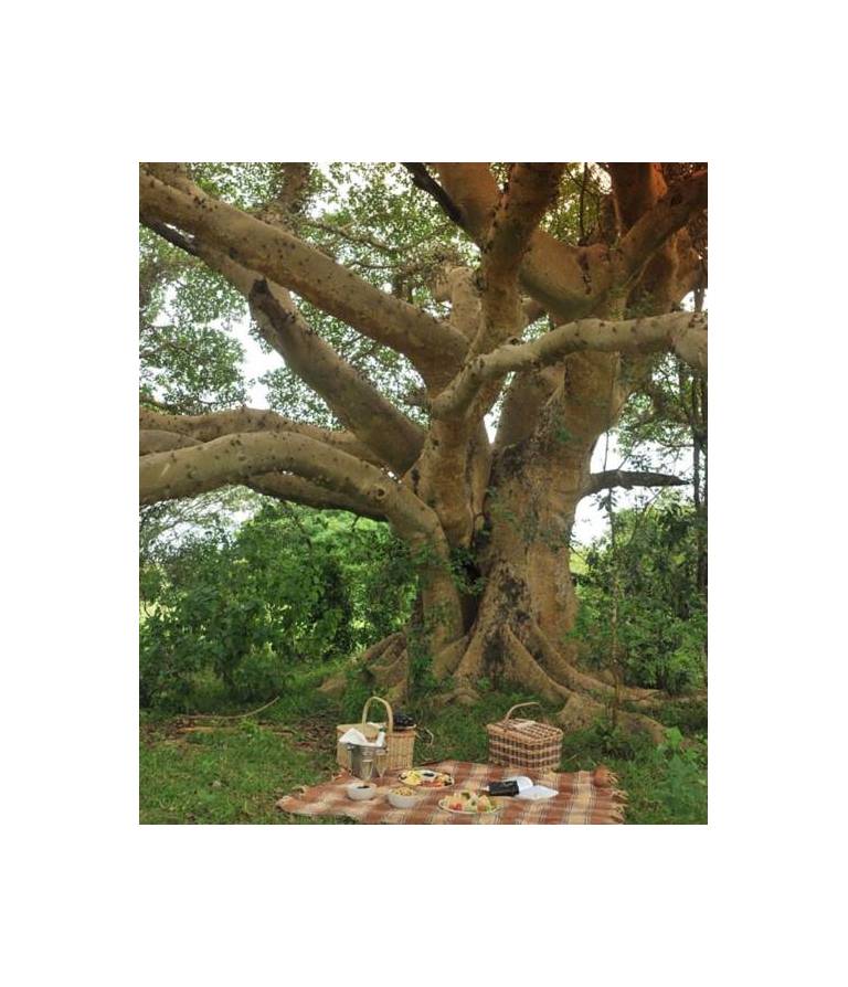 Falaza Game Park and Spa 