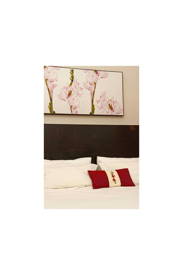 Nine Flowers Guest House 