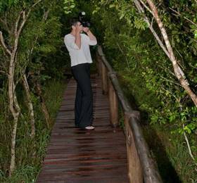 Туры в Bushwillow Lodge  в ЮАР