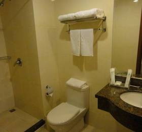 Greentree Inn Nanjing Xinjiekou Wangfu Avenue Express Hotel  в Нанкине