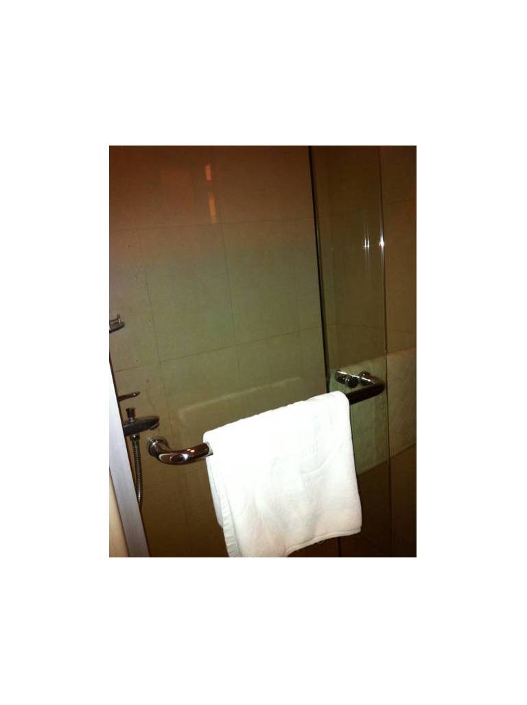 Greentree Alliance Hefei International Auto City Hotel 