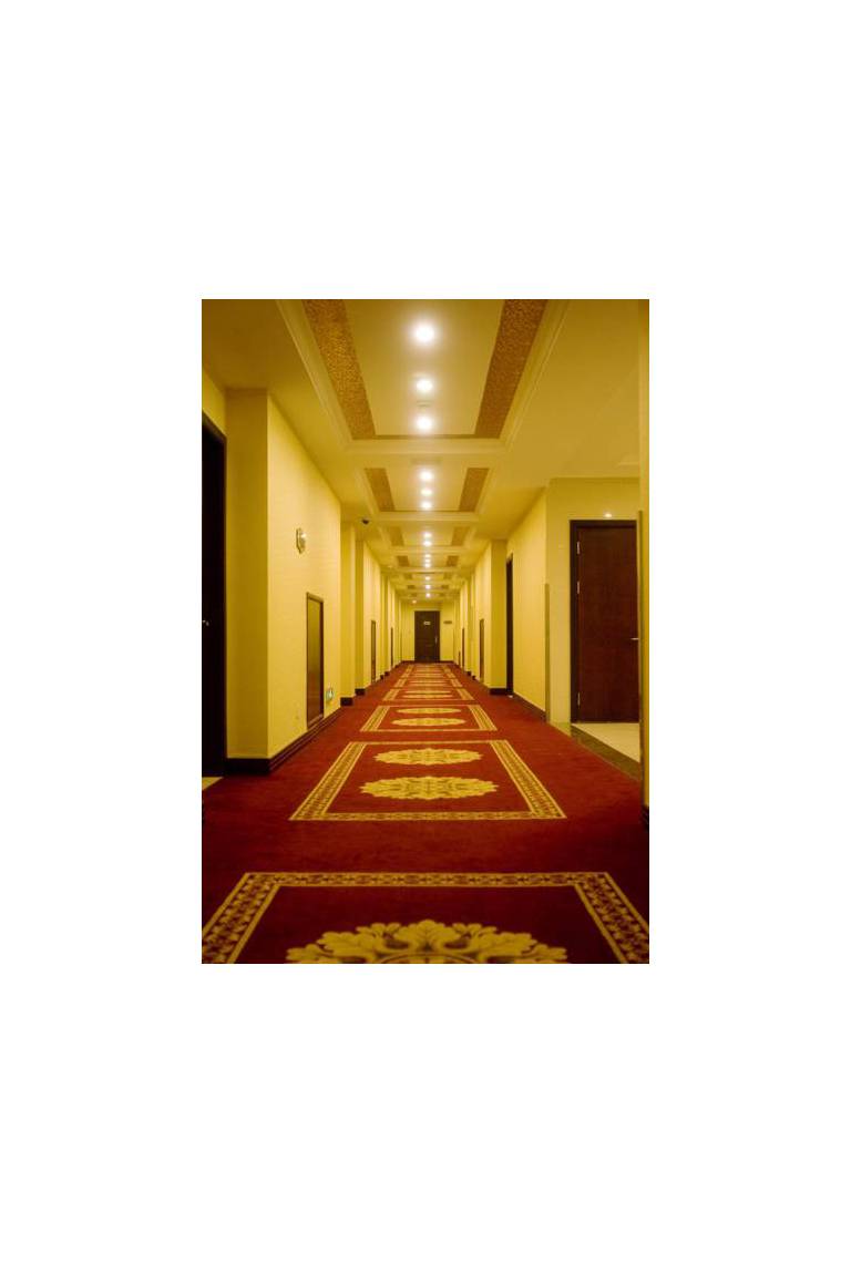 Hong Jin Vienna International Hotel (Pudong Airport) 