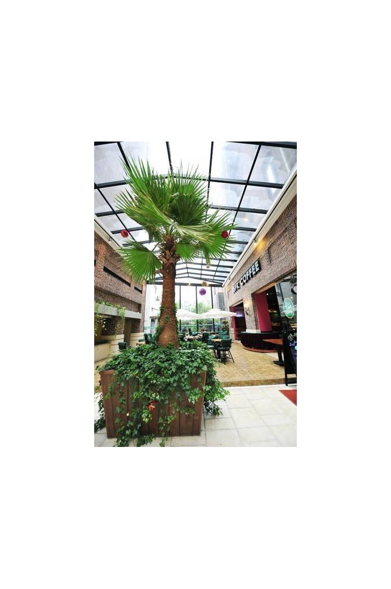 Hanting Hotel - Shanghai Changshou Road 