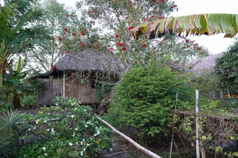Nguyen Shack - Mekong River Homestay 