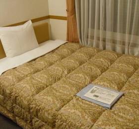 Туры в Toyoko Inn Tokyo Shinjuku Kabuki-cho  в Японии