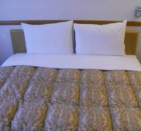 Отдых в Toyoko Inn Tokyo Shinjuku Kabuki-cho  - Япония, Токио