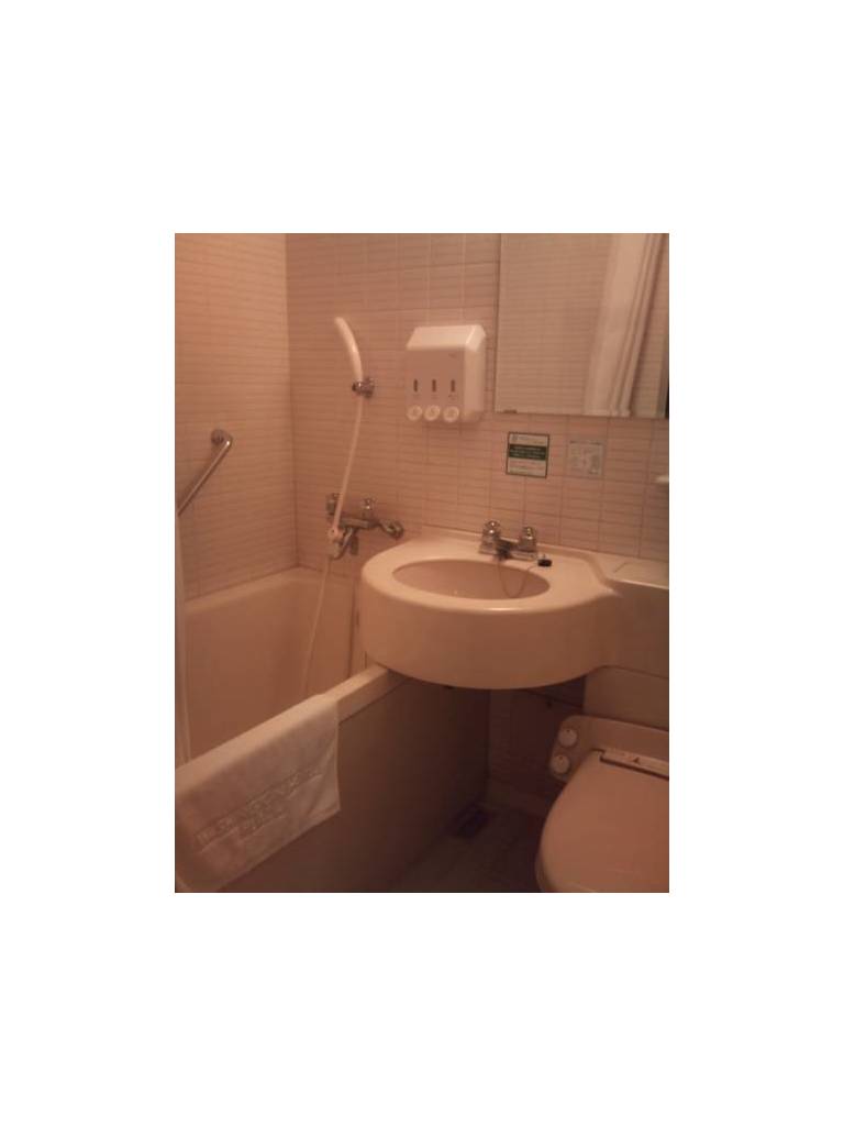 Okayama Washington Hotel Plaza 