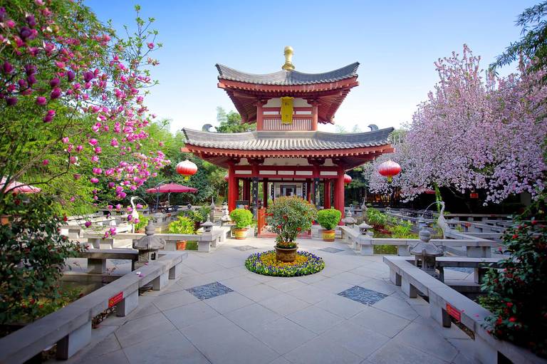 Tang Dynasty Art Garden Hotel 