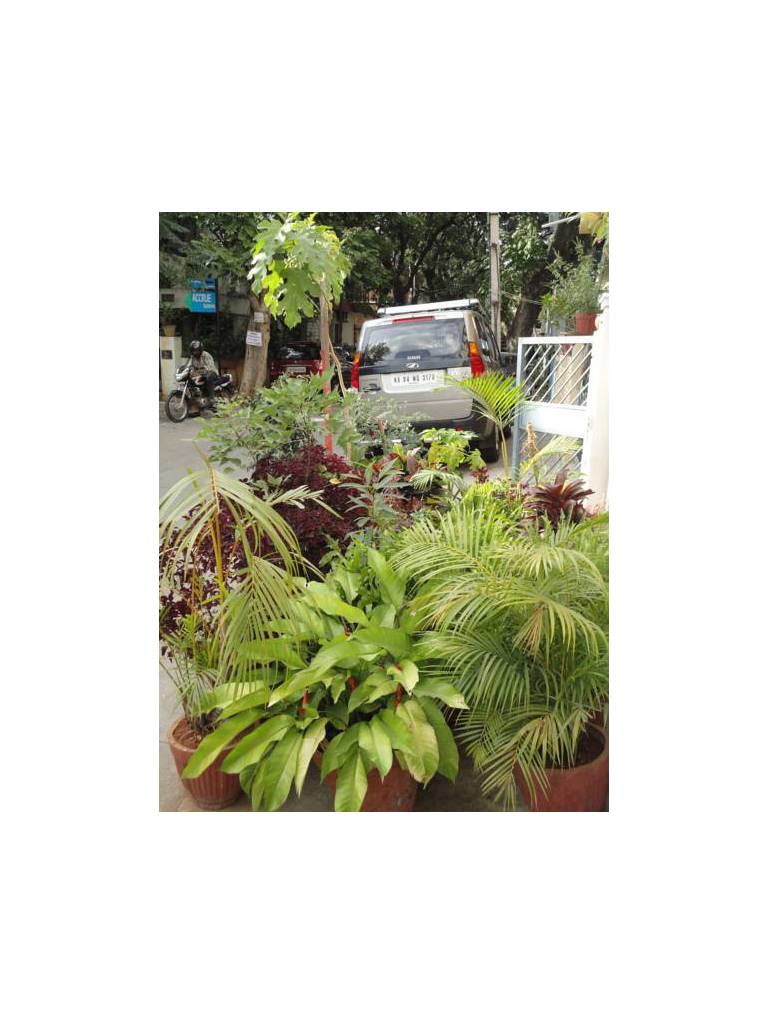 D Habitat Serviced Apartment 