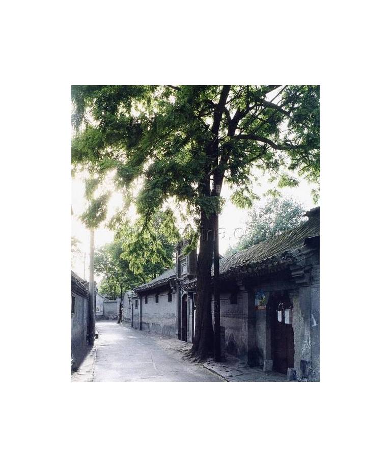 Alley Garden Courtyard Hotel 