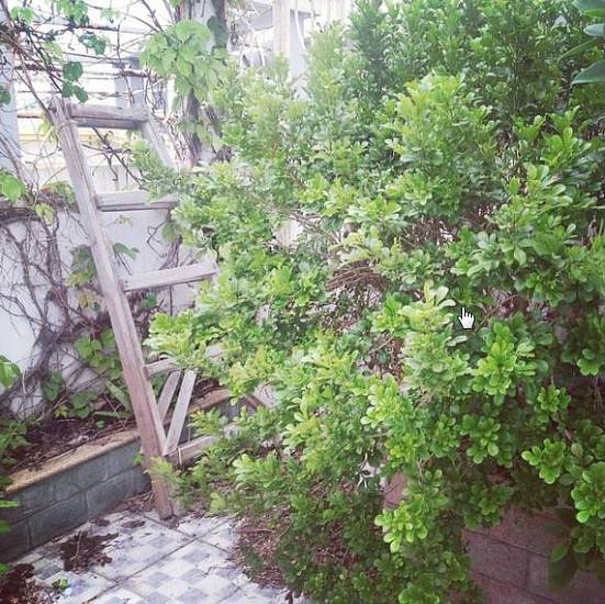 Zhuhai Journey House Hostel  Китай, Чжухай