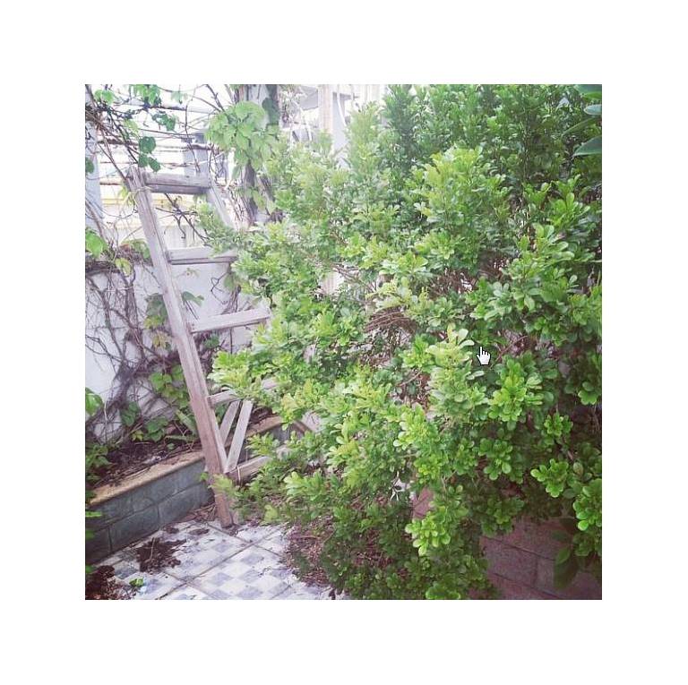 Zhuhai Journey House Hostel 