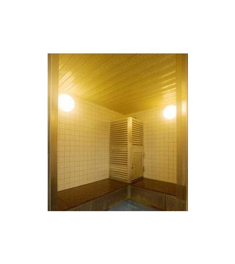 Sauna & Capsule in Okayama 