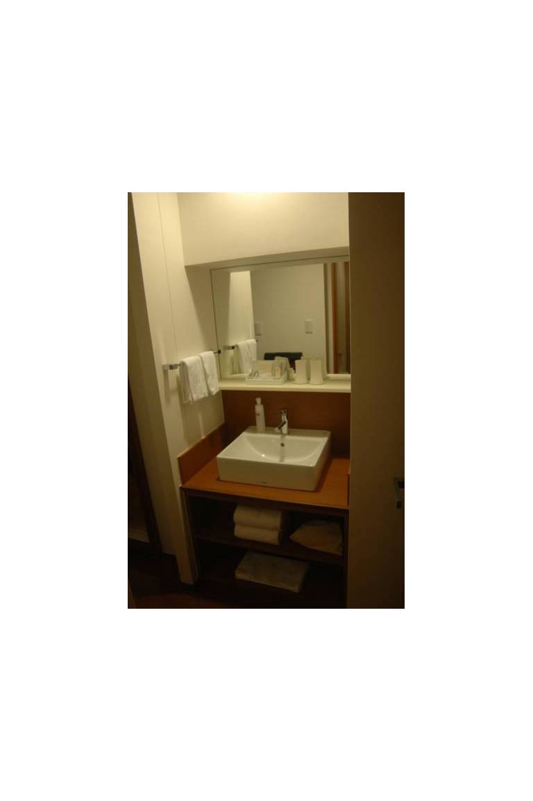 Lotte City Hotel Kinshicho 
