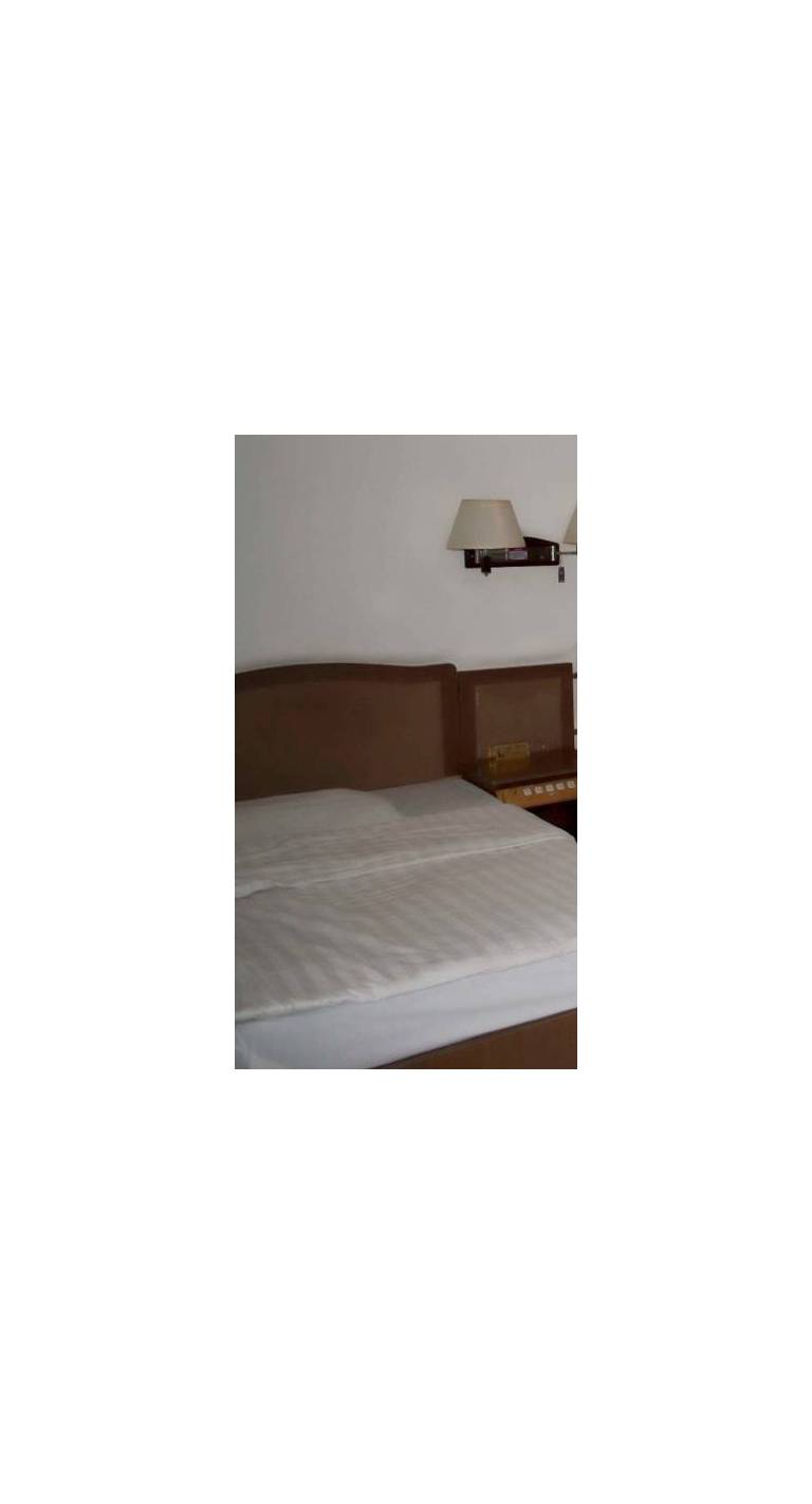 Three Legged Frog Hostel 