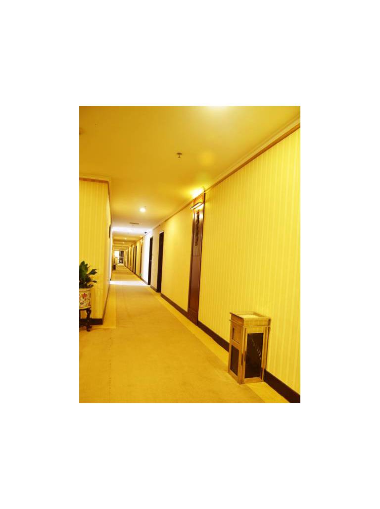 Southern Rich Town Hotel 