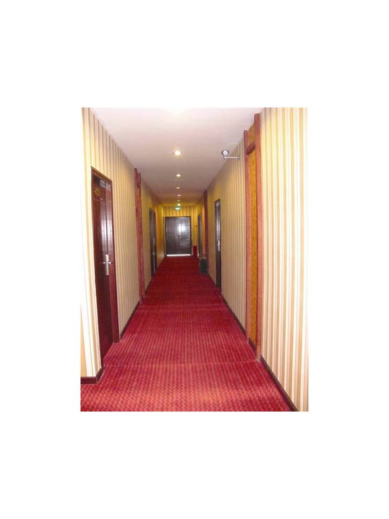 Dujiangyan Ningyan Hotel 