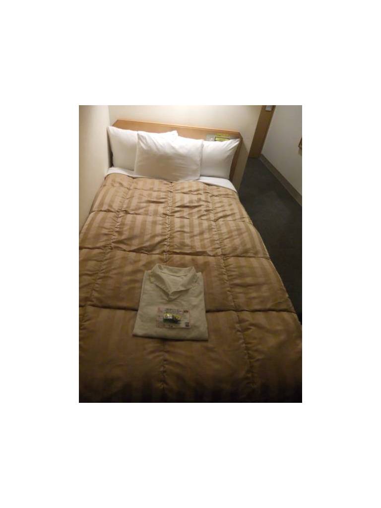 Hotel Roco Inn Matsuyama 