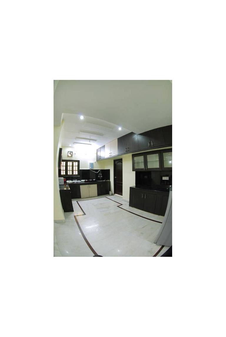 Executel Xtnd - Begumpet 