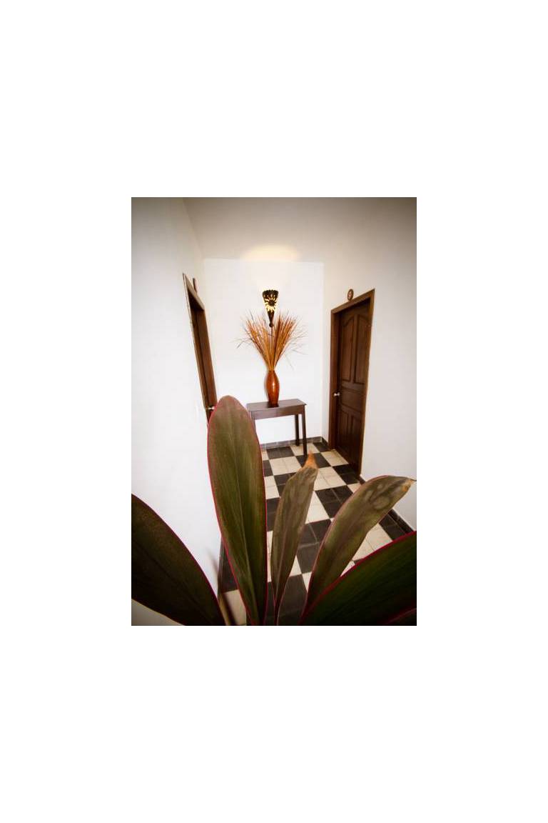 The Little Garden Villa 