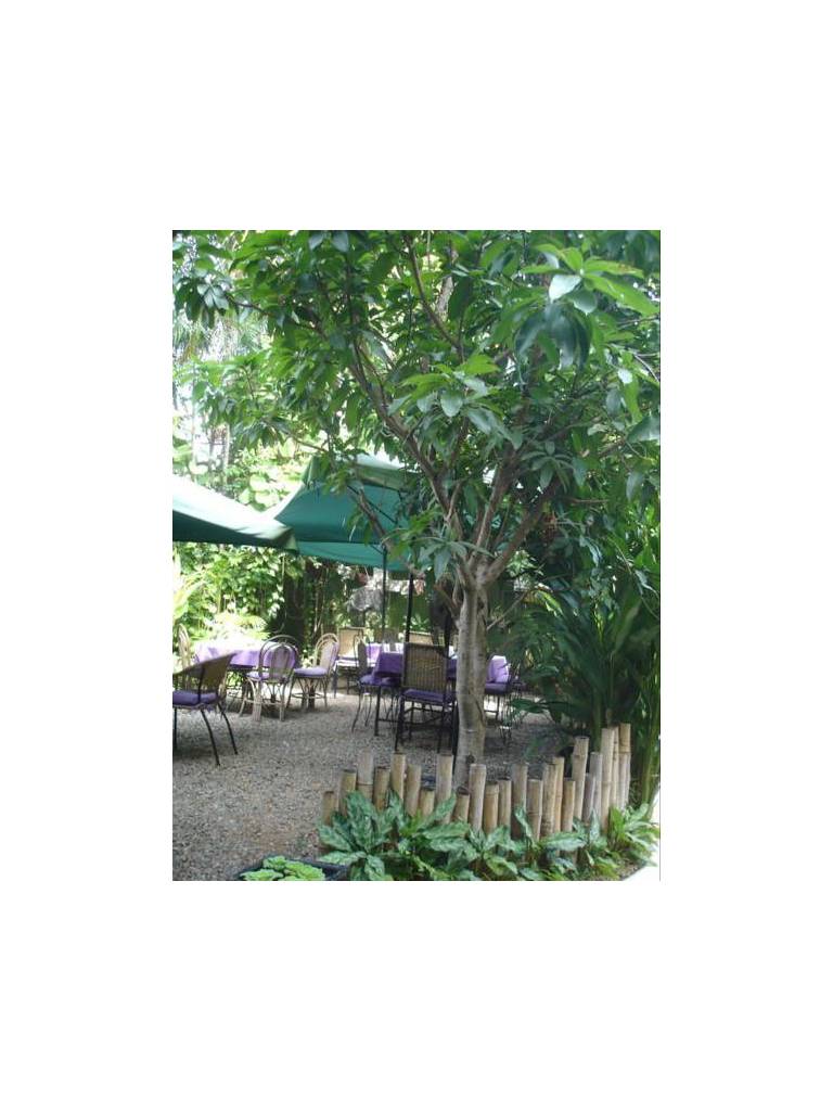 Le Rit's Boutique Hotel 