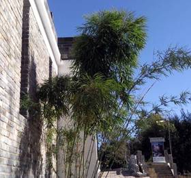 Туры в Fengshui Villa and Spa  в Китае