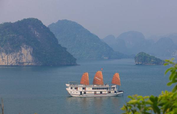 Halong Lavender Cruise