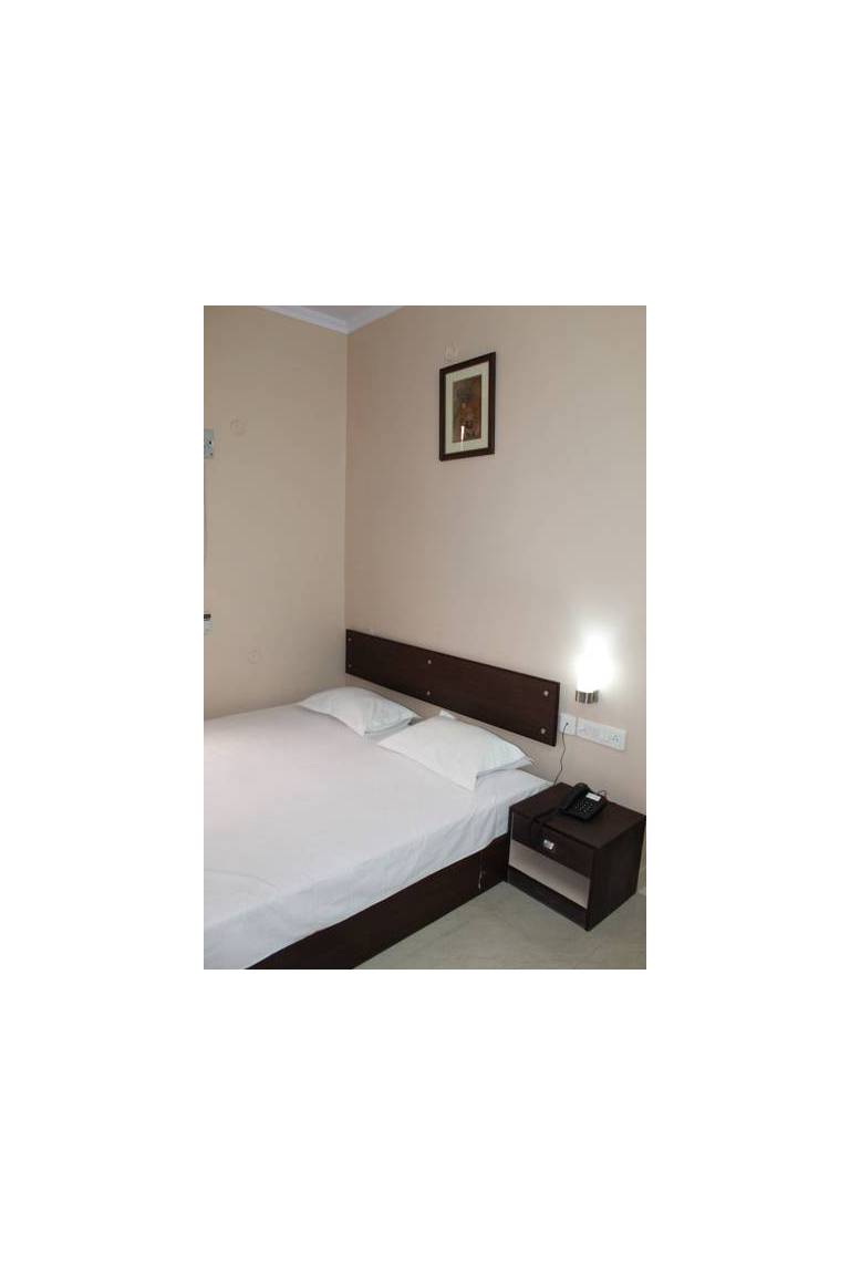 Hotel Ram Singh Palace 