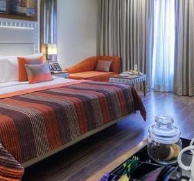 Туры в Ramada Gurgaon Central  в Индии