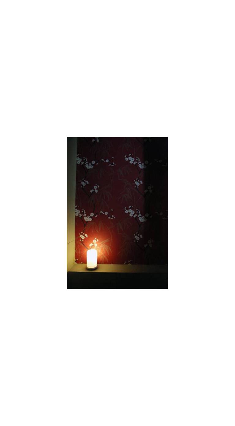 Himeji 588 Guest House 