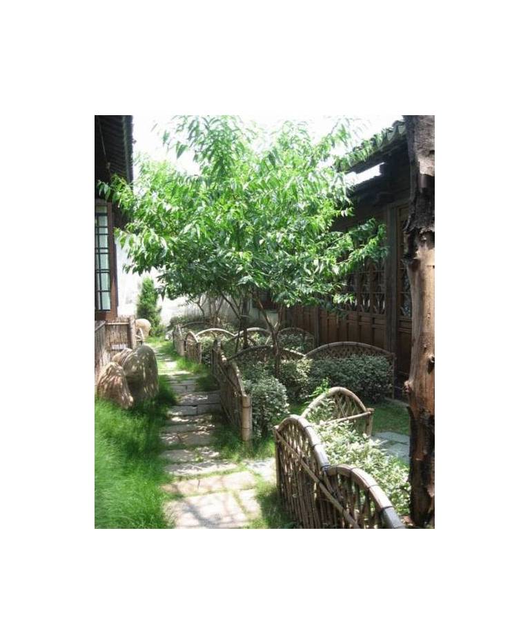 Suzhou Pingjiang Lodge 