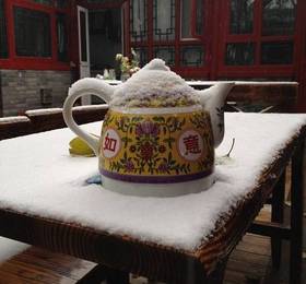 Apricot Courtyard Inn в Пекине