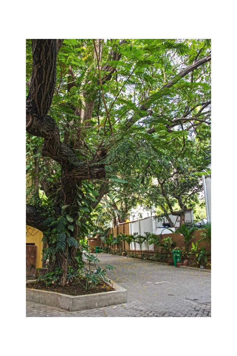 Hanu Reddy Residences 