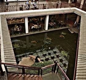 Lijiang Huama Hotel  в Лицзяне