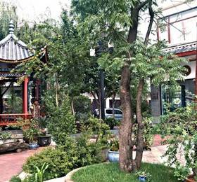 Lijiang Huama Hotel в Лицзяне