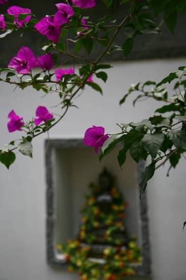 Sukhothai Liang Inn 3* Китай, Лицзян