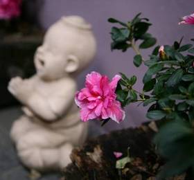 Туры в Sukhothai Liang Inn в Китае