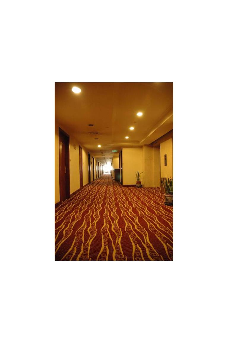 Piaoying Bund Hotel 