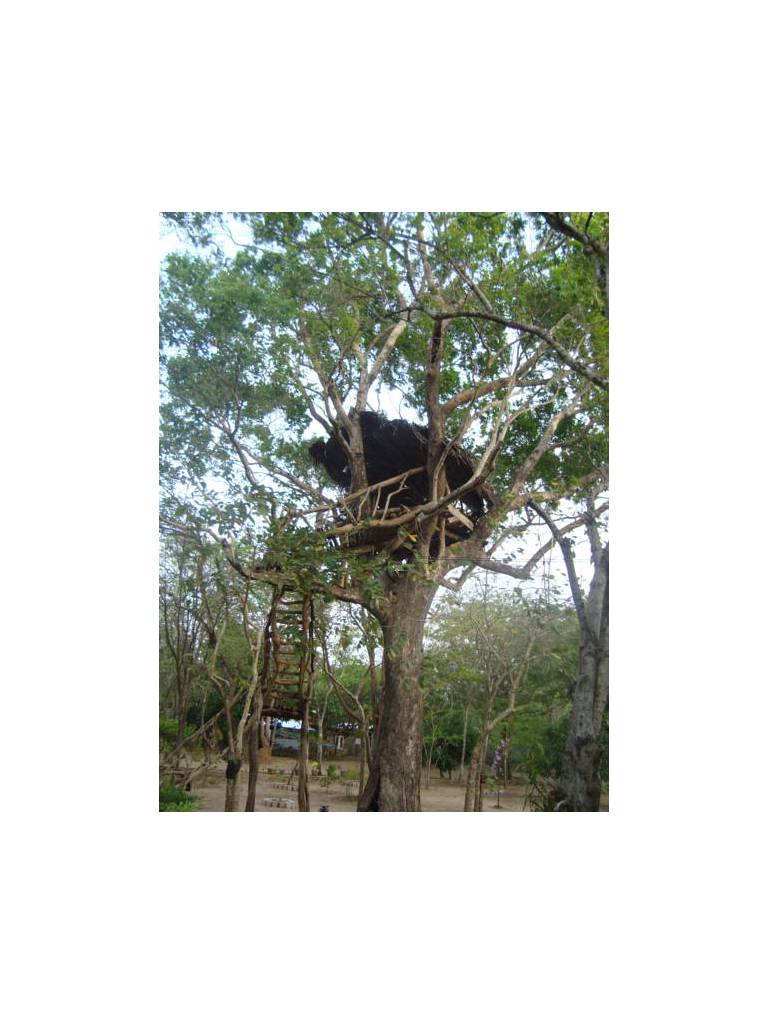 Jays Holiday Resort 