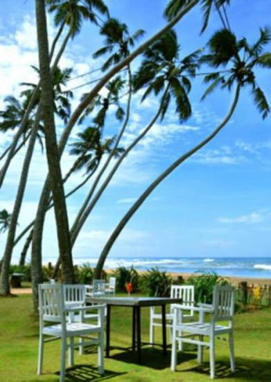 Saffron Beach Hotel  2* Шри-Ланка, Ваддува