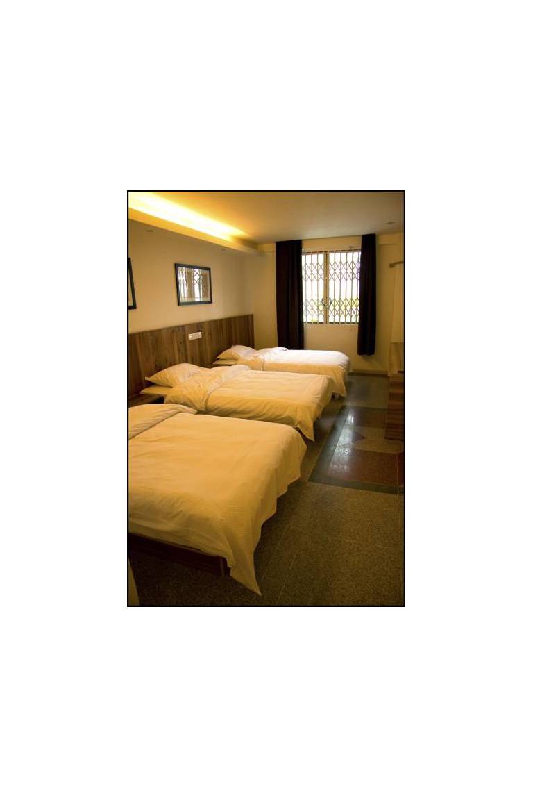 Green Forest Hostel 