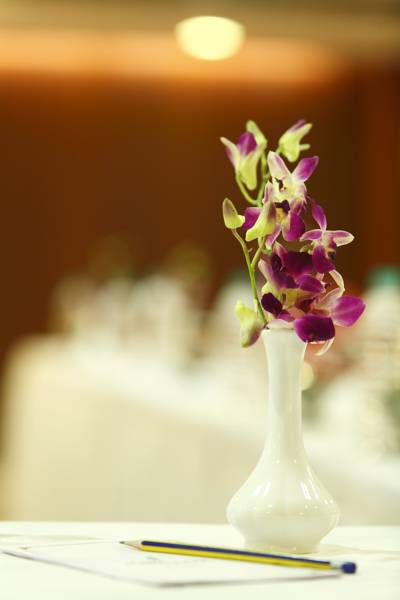 Golden Tulip Jaipur 5*