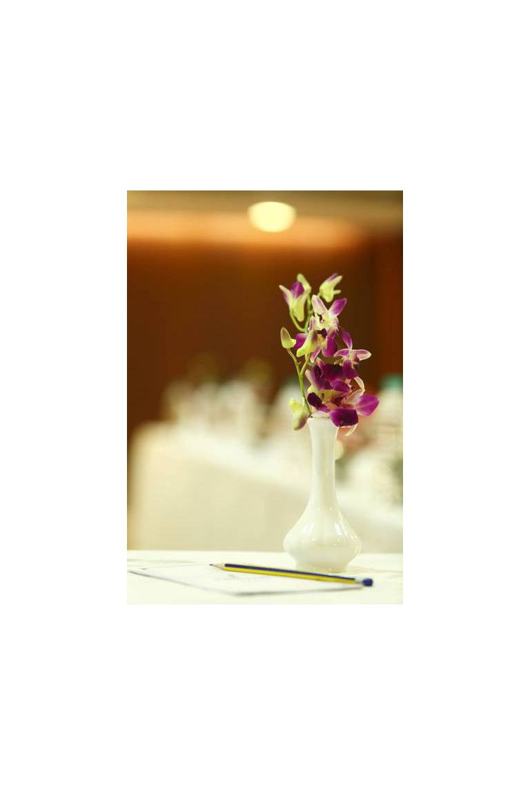 Golden Tulip Jaipur