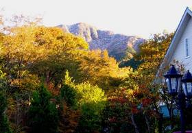 Туры в Sun Terrace Hakone  в Японии